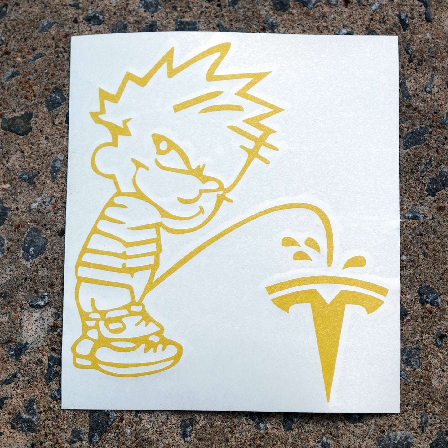 Elon Musk Fan Club Car Decal